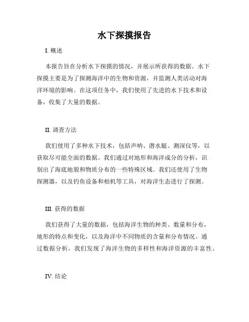 水下探摸报告