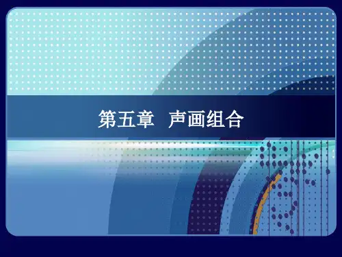 电视编辑-声画组合