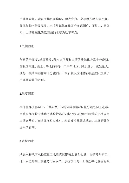 土地盐碱化的原因