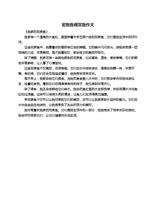 宠物鱼观赏鱼作文