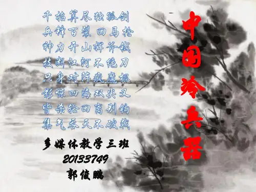 四大兵器介绍分析