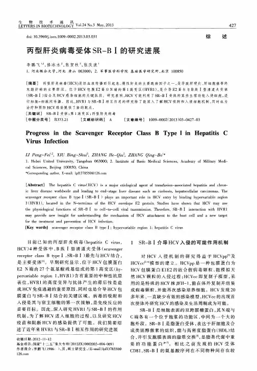 丙型肝炎病毒受体SR-BⅠ的研究进展