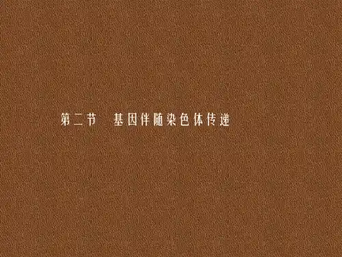 新浙科版必修二基因伴随染色体传递课件(33张)