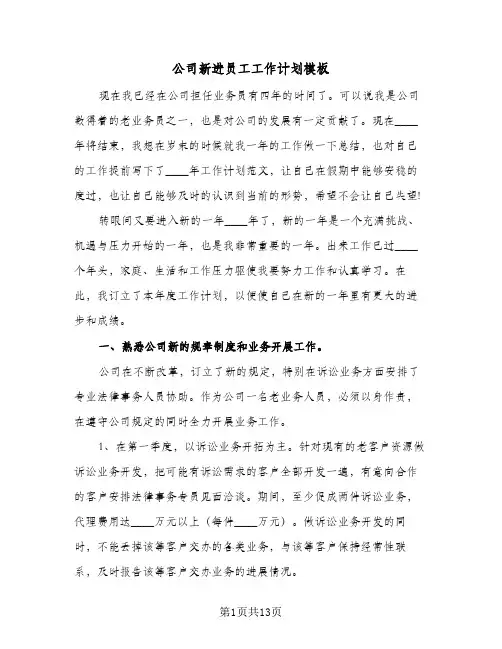 公司新进员工工作计划模板（3篇）