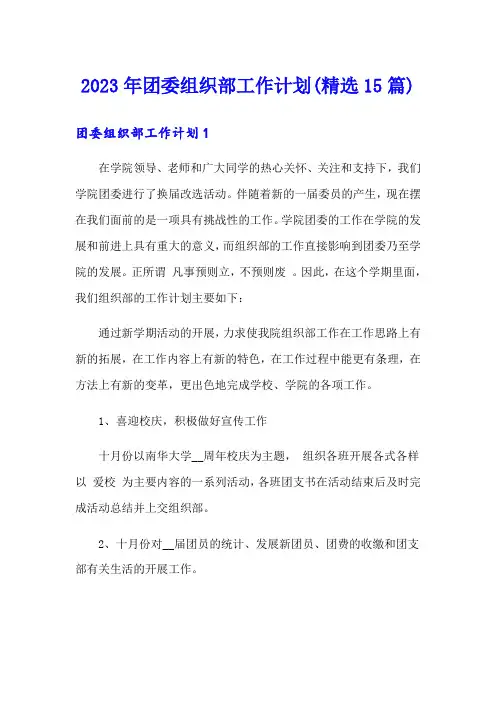 2023年团委组织部工作计划(精选15篇)