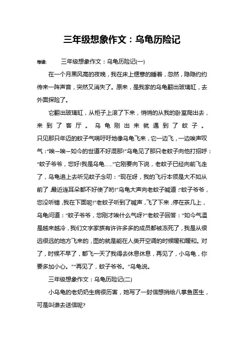 三年级想象作文：乌龟历险记