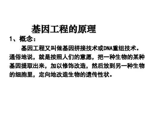 《基因工程》