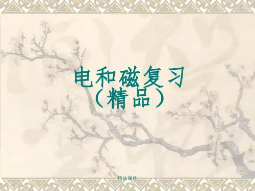 电和磁复习HAOppt课件