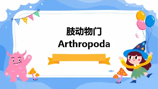 肢动物门Arthropoda