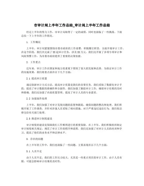市审计局上半年工作总结_审计局上半年工作总结