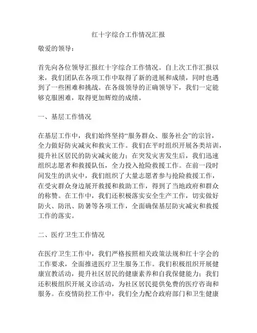 红十字综合工作情况汇报