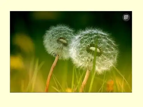 第六节  神奇的眼睛