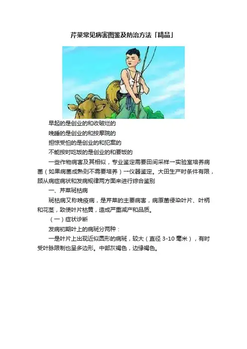 芹菜常见病害图鉴及防治方法「精品」