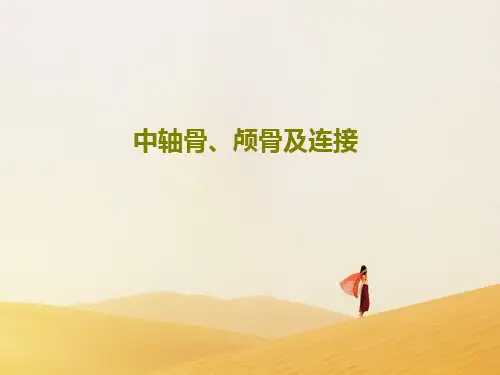 中轴骨、颅骨及连接30页PPT