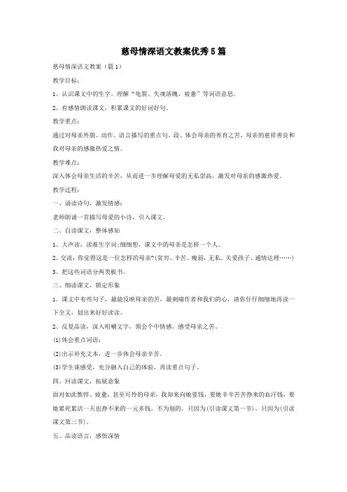 慈母情深语文教案优秀5篇