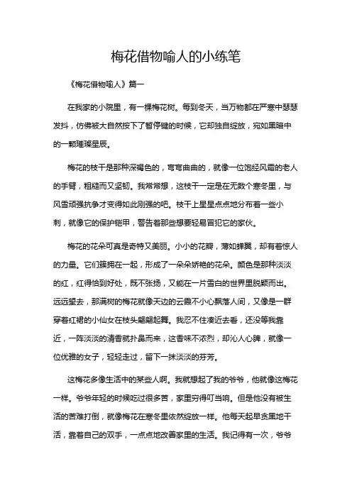 梅花借物喻人的小练笔