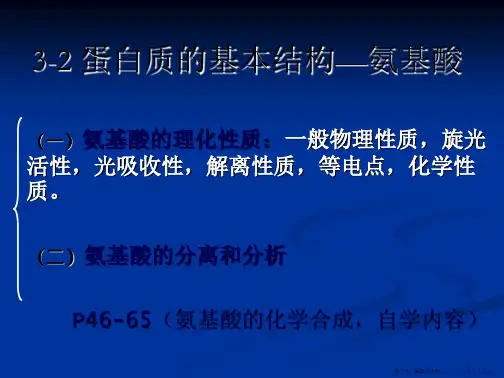 蛋白质的基本结