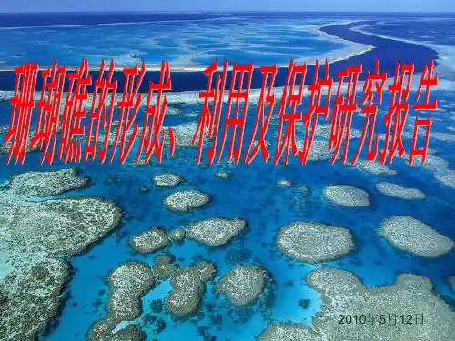 珊瑚礁的形成、利用及保护研究报告
