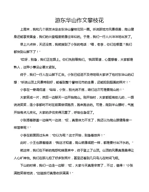 游东华山作文攀枝花