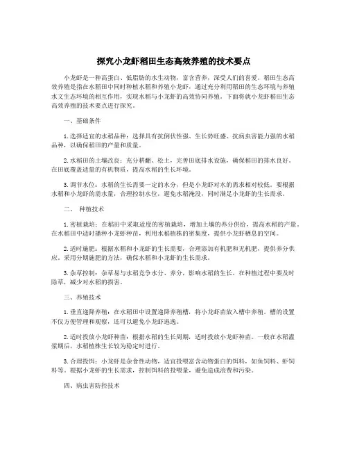 探究小龙虾稻田生态高效养殖的技术要点