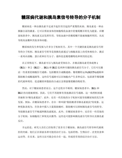 糖尿病代谢和胰岛素信号转导的分子机制