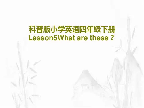 科普版小学英语四年级下册Lesson5What are these？共31页文档