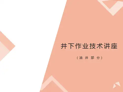 油田井下作业技术油井类课件