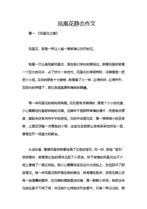 凤凰花静态作文