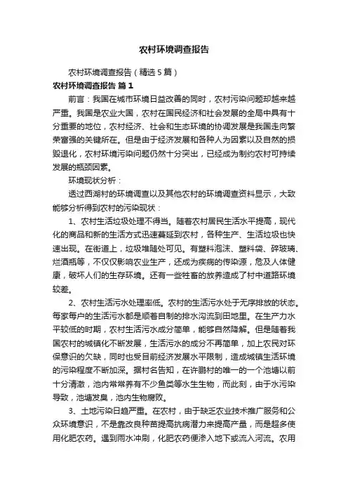 农村环境调查报告（精选5篇）