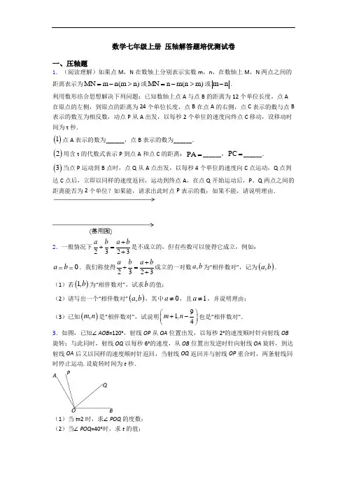 数学七年级上册 压轴解答题培优测试卷