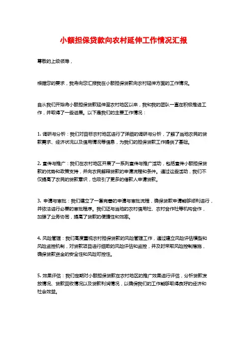 小额担保贷款向农村延伸工作情况汇报