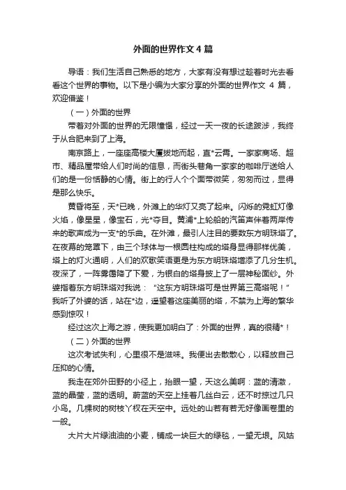外面的世界作文4篇