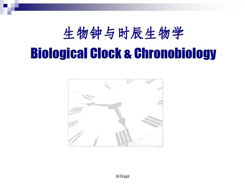 生物钟与时辰生物学