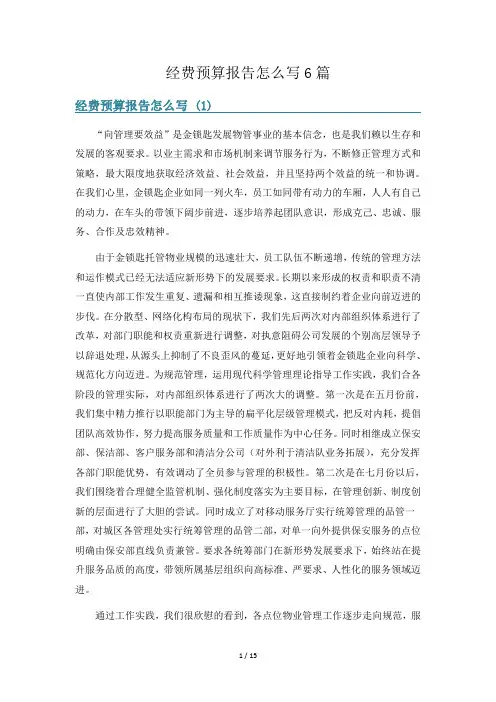 经费预算报告怎么写6篇