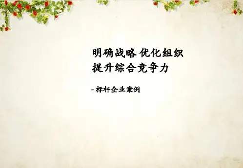 标杆企业案例分析(ppt 61页)