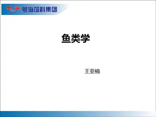 鱼类学