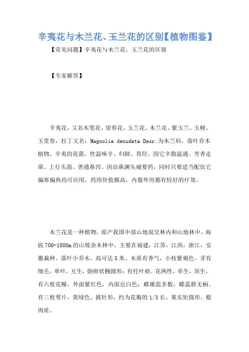 辛夷花与木兰花、玉兰花的区别【植物图鉴】