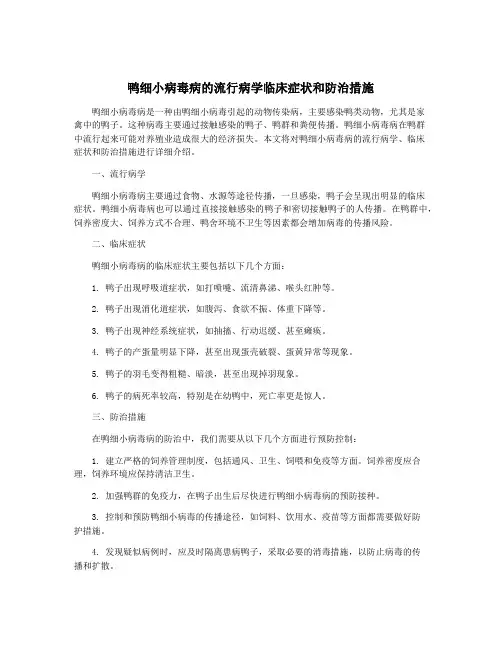 鸭细小病毒病的流行病学临床症状和防治措施