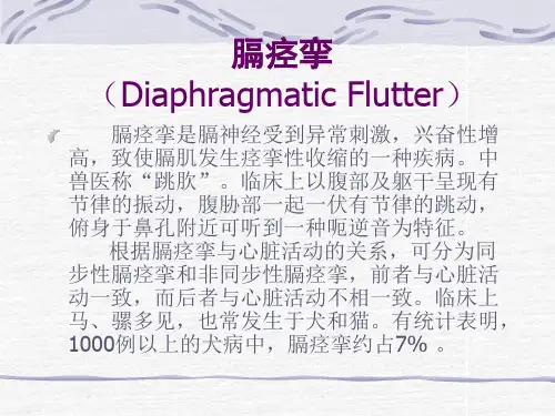 膈痉挛是膈神经受到异常刺激