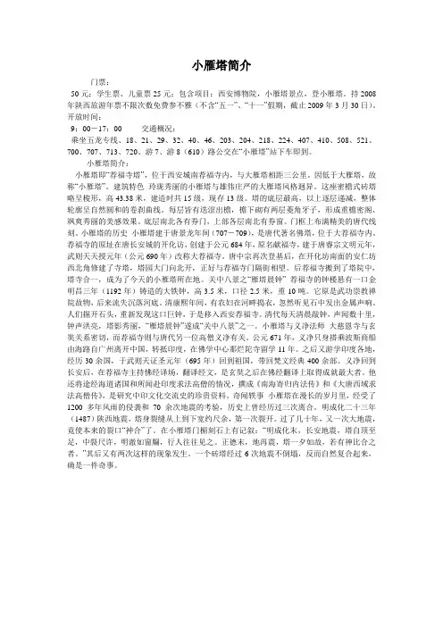 小雁塔简介