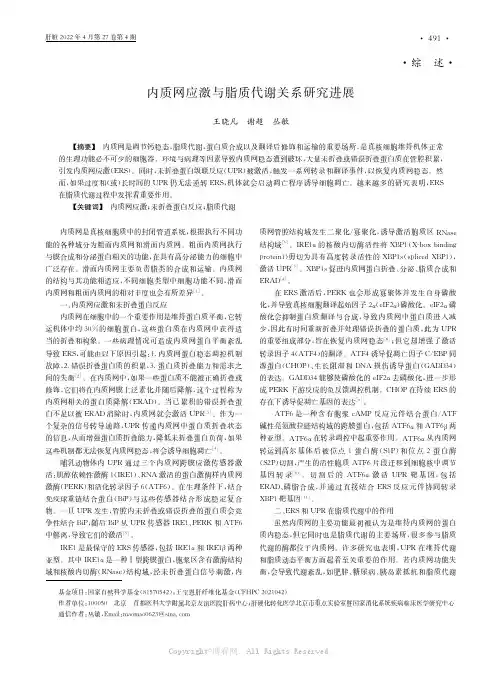 内质网应激与脂质代谢关系研究进展