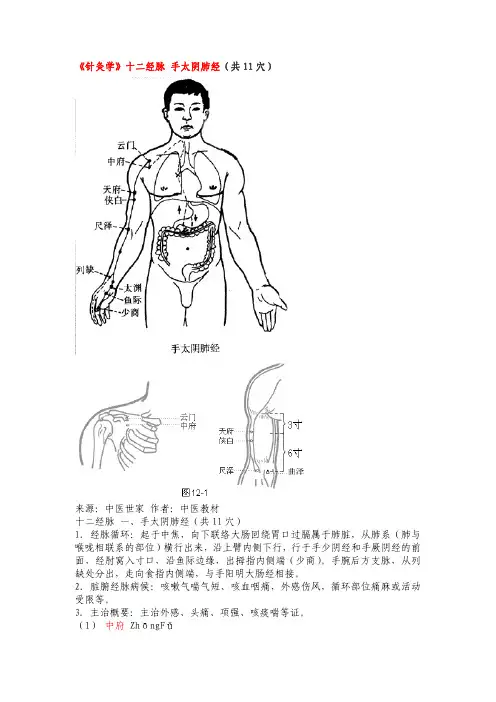 《针灸学》十二经脉 手太阴肺经