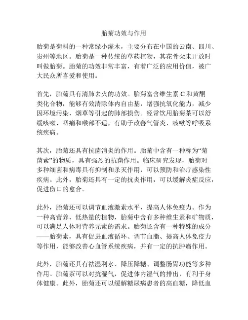 胎菊功效与作用