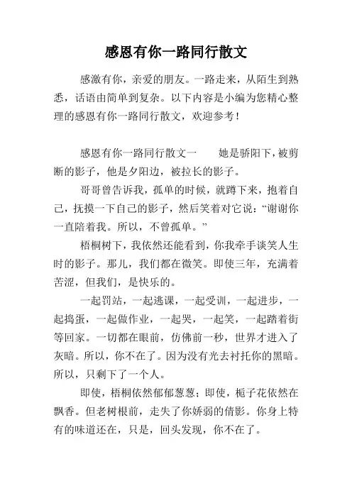 感恩有你一路同行散文