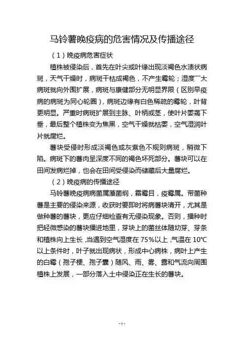 马铃薯晚疫病的危害情况及传播途径