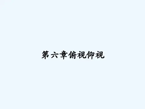 第六章俯视仰视 PPT