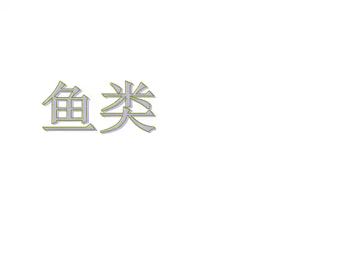 鱼类pptppt课件