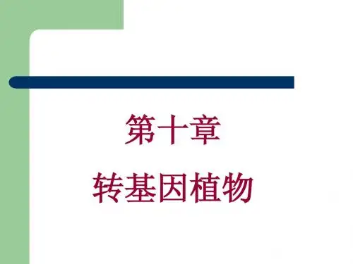 10转基因植物2012
