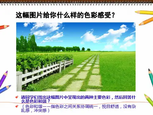 六年级上册美术《画一幅色彩和谐的画》课件