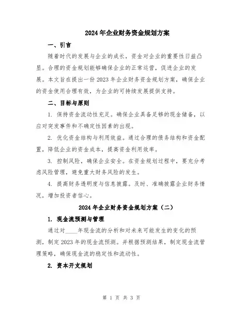 2024年企业财务资金规划方案